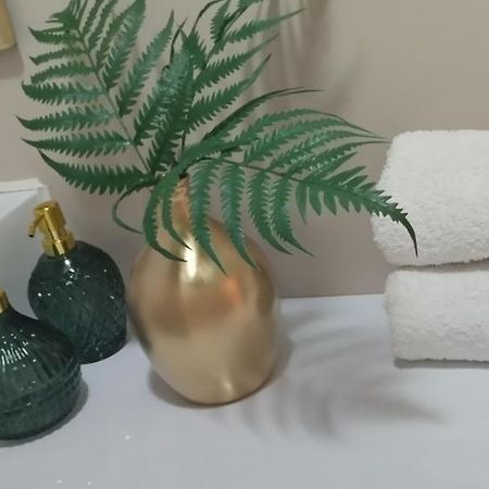 Apartment Aria 塞拉耶佛 外观 照片